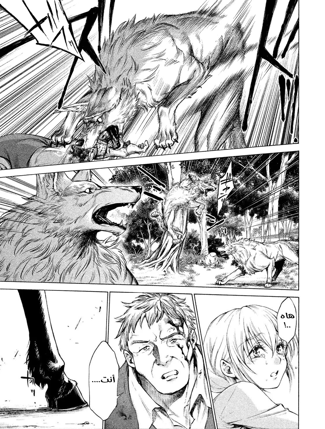 Read Henkyou no Roukishi - Bard Loen AR Manga Online