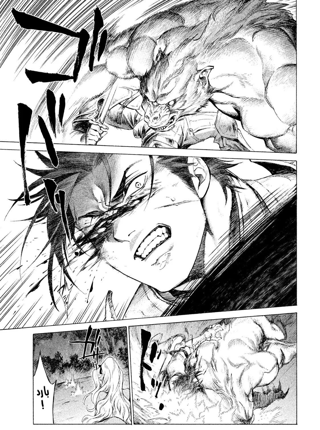 Read Henkyou no Roukishi - Bard Loen AR Manga Online