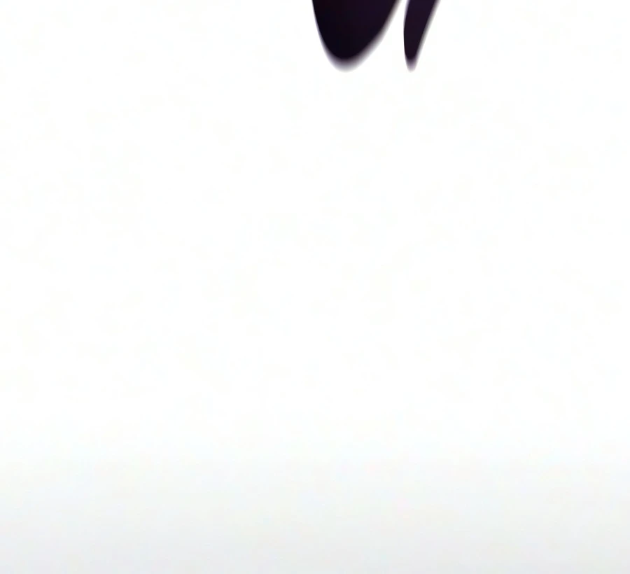 Read 30 Years Since the Prologue EN Manga Online