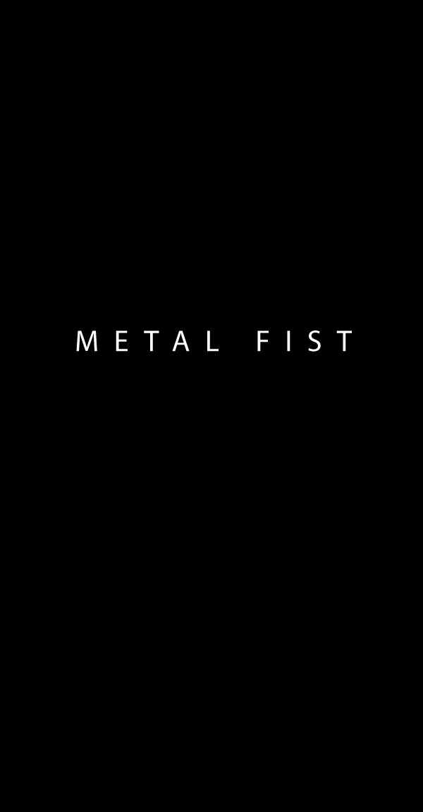 Read Metal Fist EN Manga Online