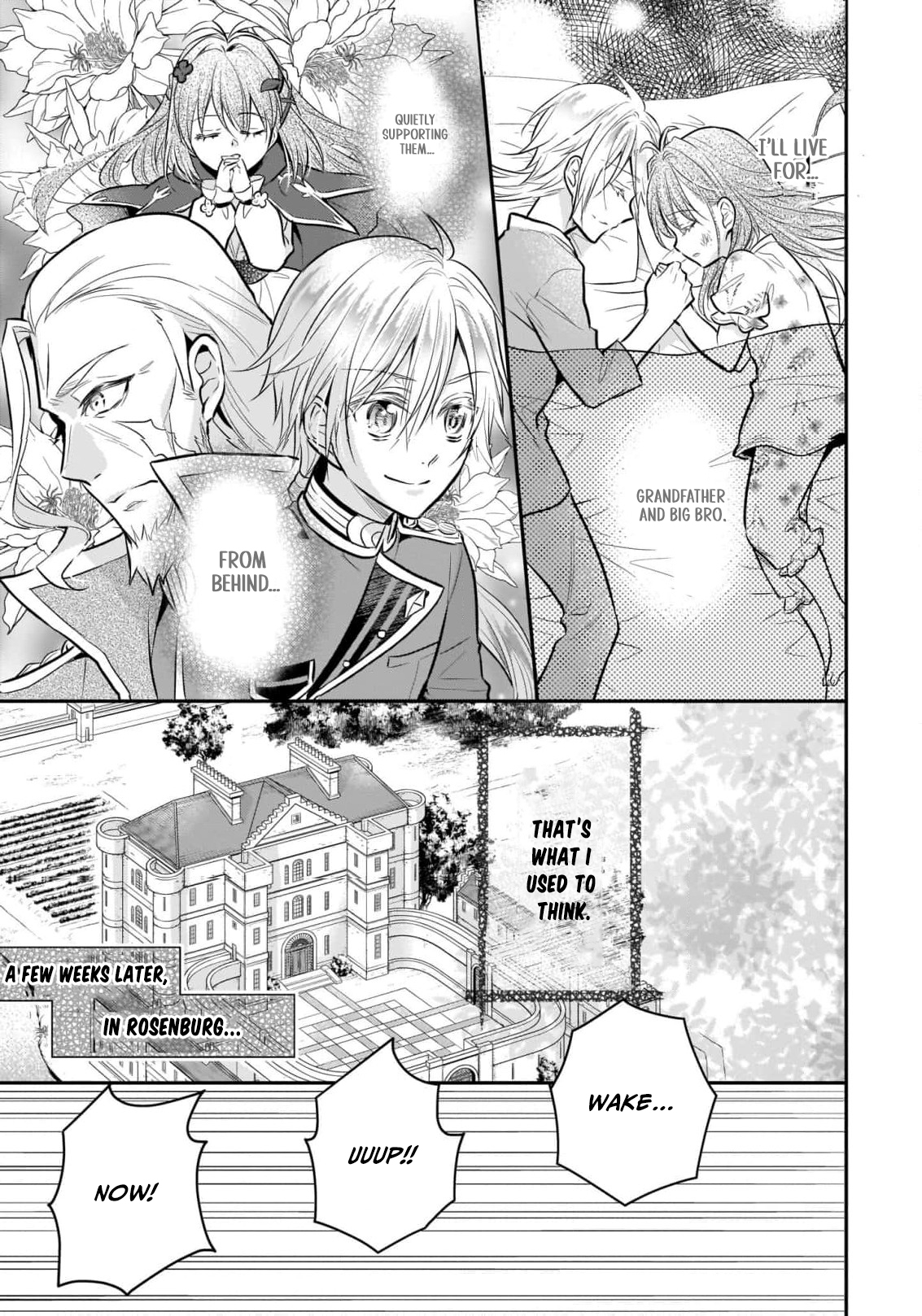 Read My New Life as a Grass Mage_ Living Freely with a Baby Dragon and Overpowered Alchemy EN Manga Online