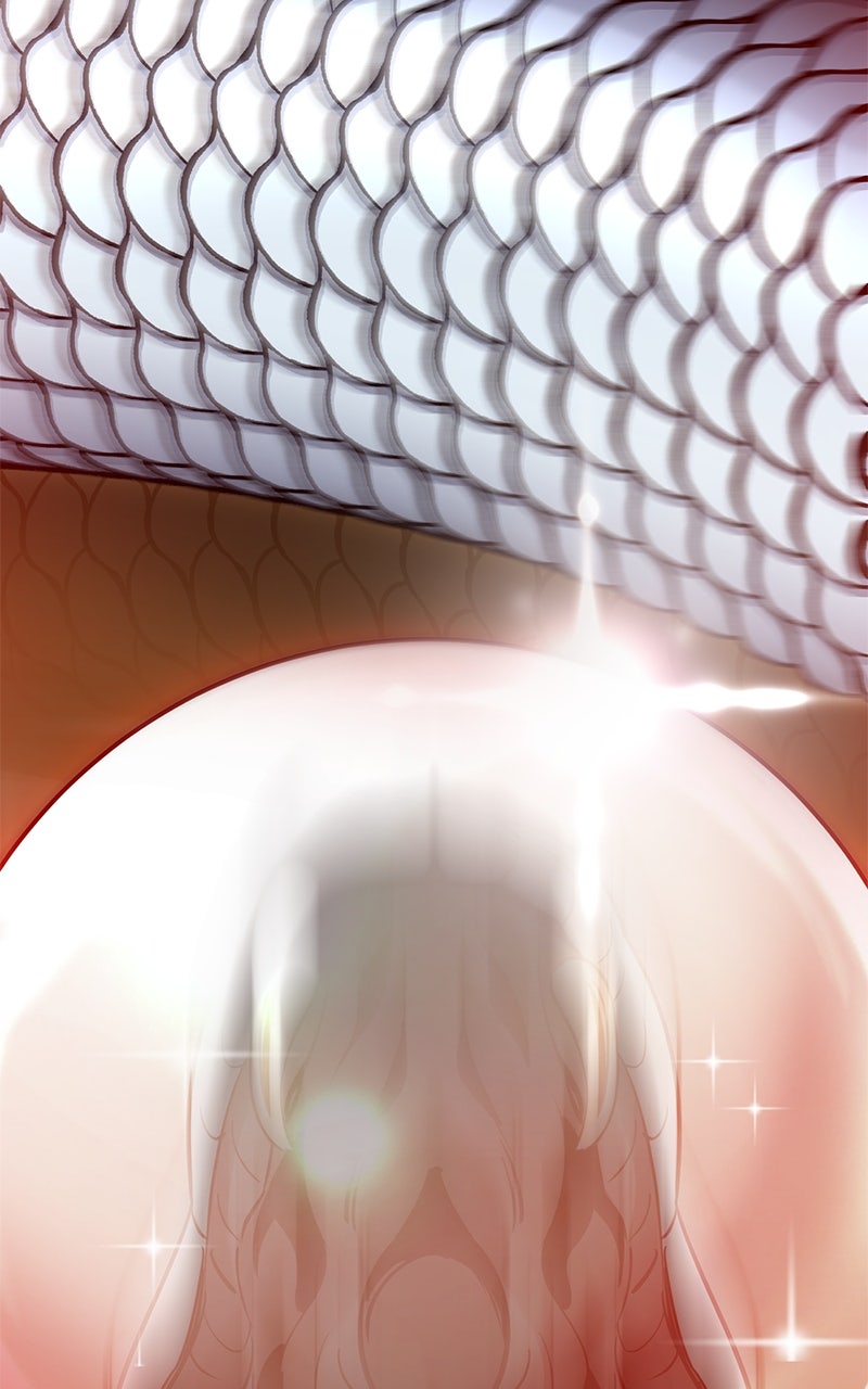Read The Masters Have Subscribed En Manga Online