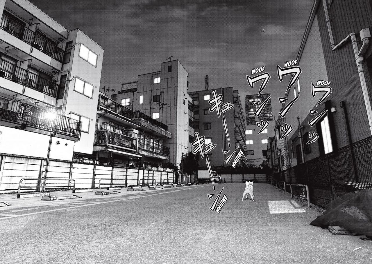 Read Inuyashiki ES Manga Online