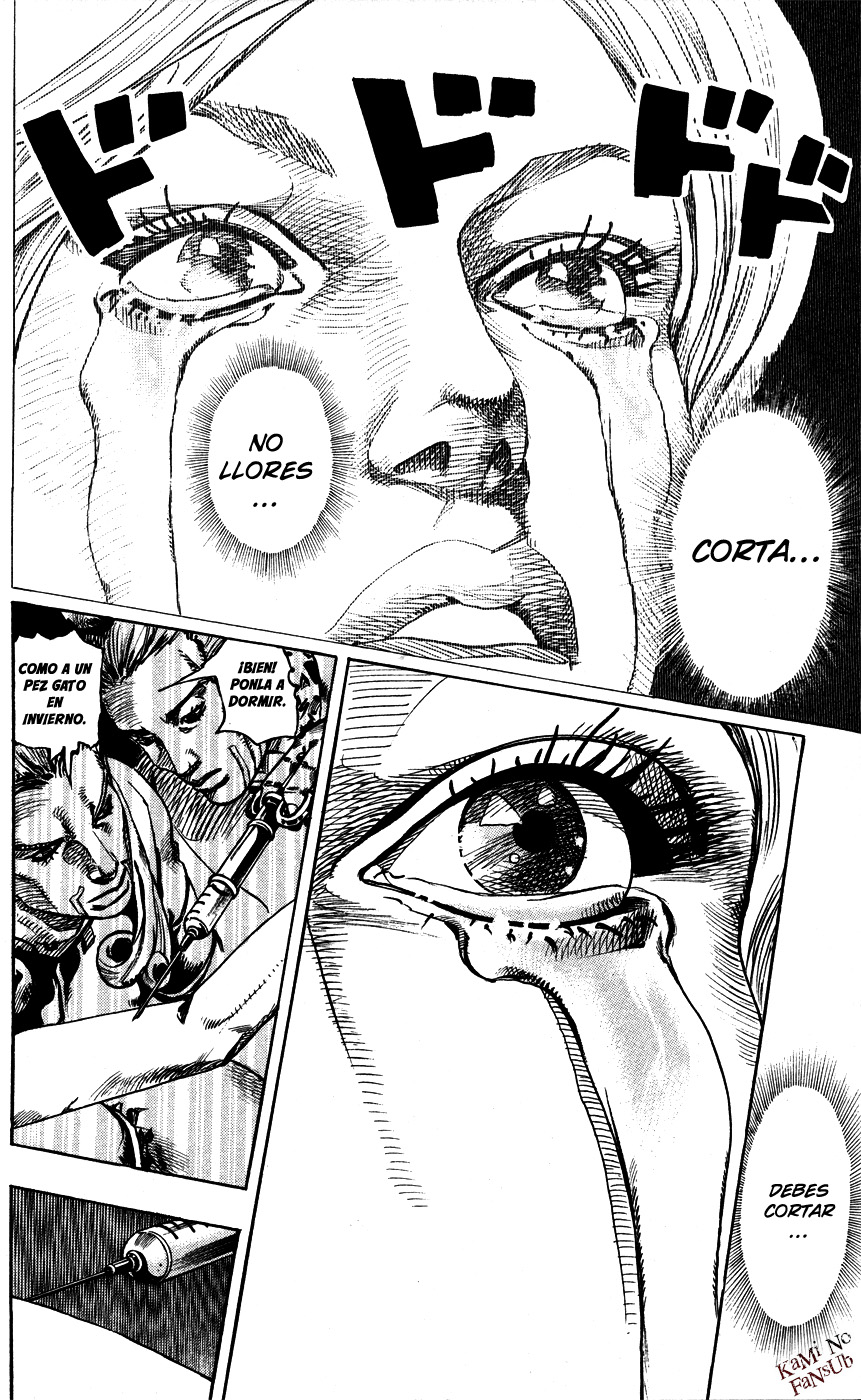 Read Jojos Bizarre Adventure Parte 7_ Steel Ball Run ES Manga Online