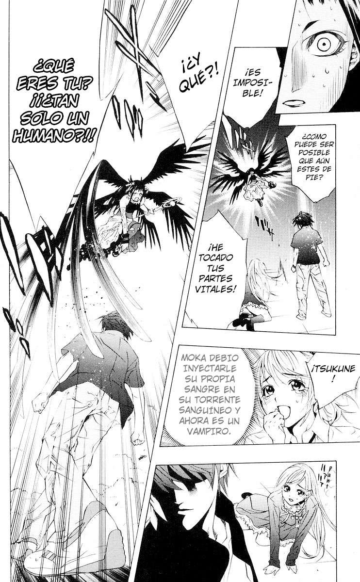 Read Rosario + Vampire ES Manga Online