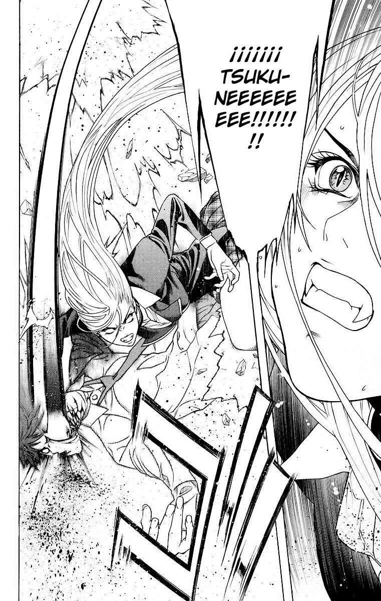 Read Rosario + Vampire ES Manga Online
