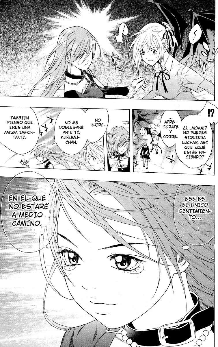 Read Rosario + Vampire ES Manga Online