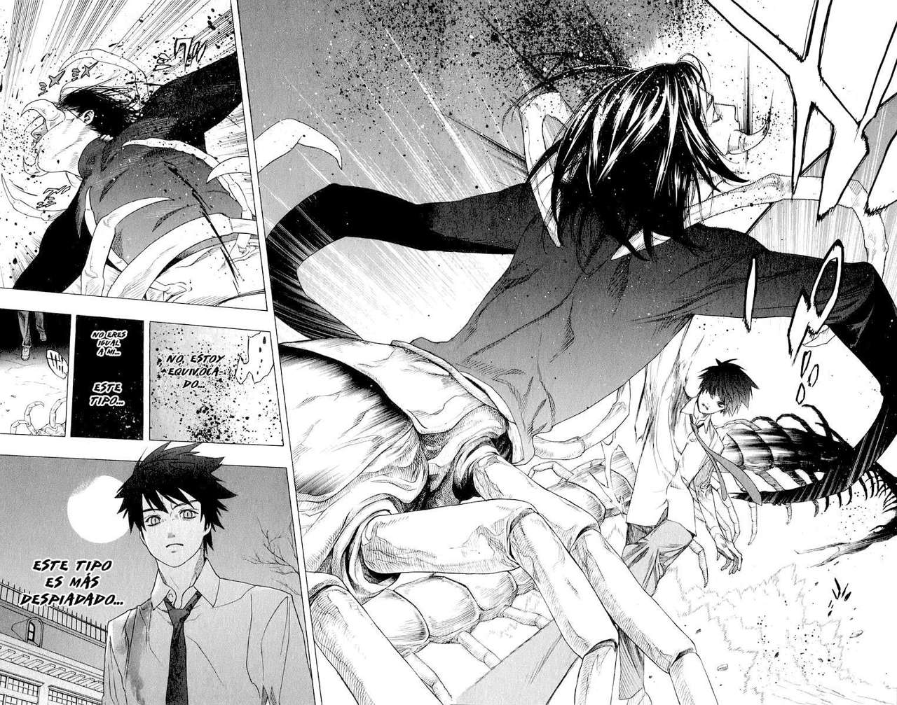 Read Rosario + Vampire ES Manga Online