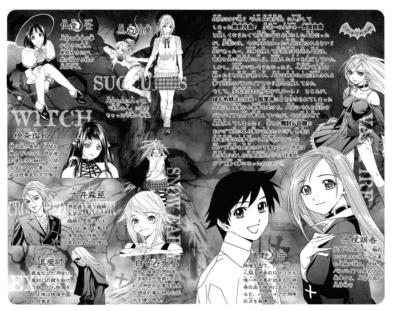Read Rosario + Vampire ES Manga Online
