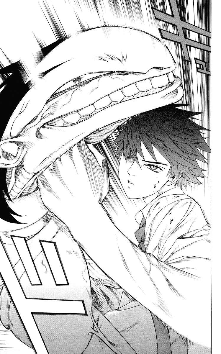 Read Rosario + Vampire ES Manga Online