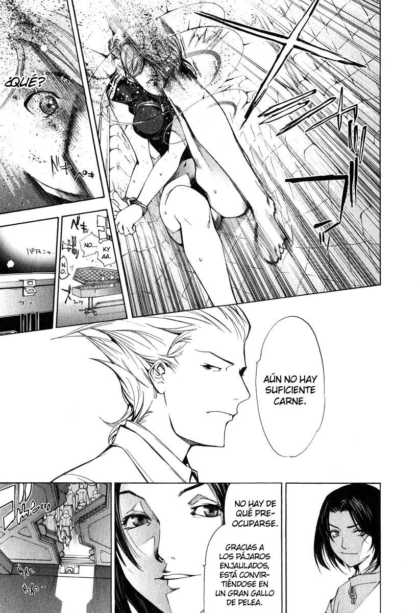 Read Tenjou Tenge ES Manga Online