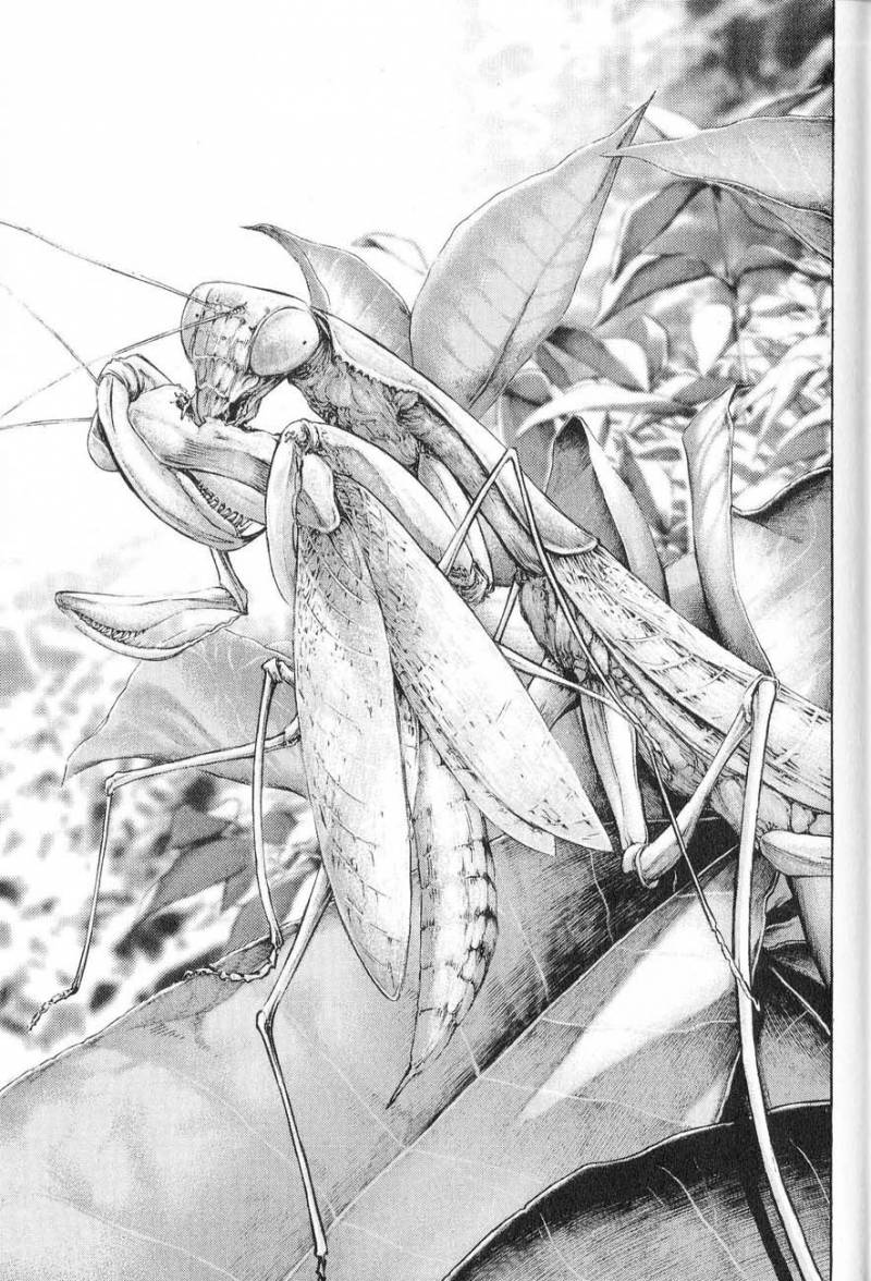 Read Ascension FR Manga Online