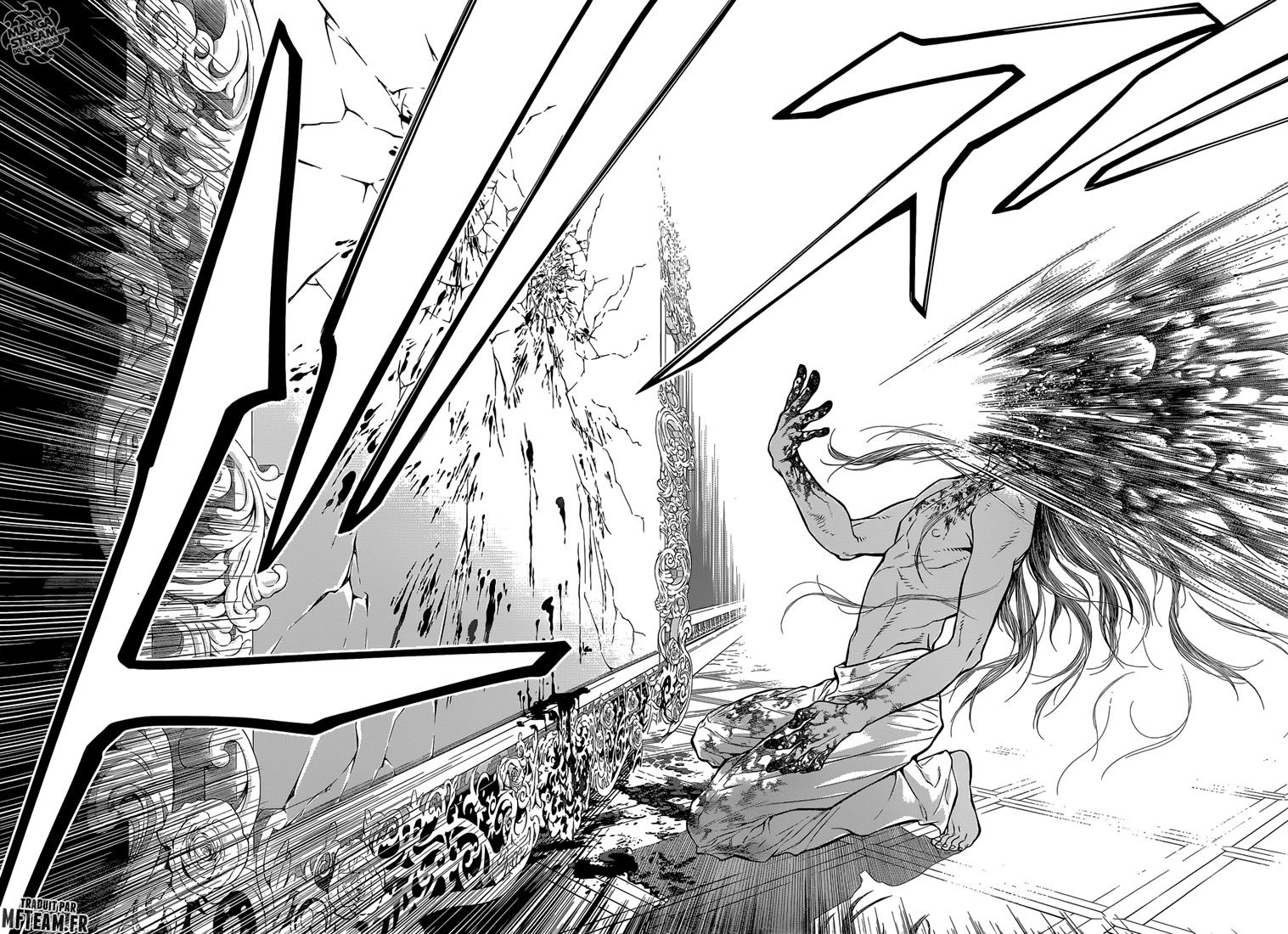 Read D Gray Man FR Manga Online