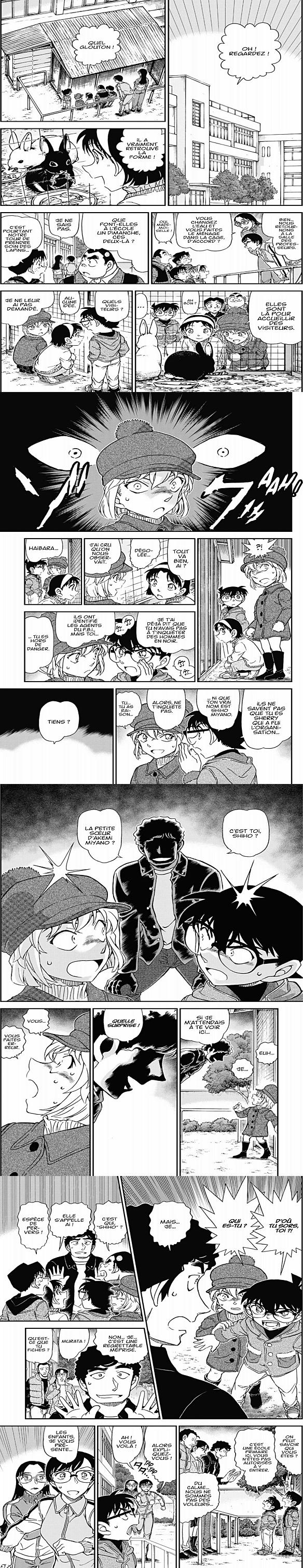 Read Detective Conan FR Manga Online