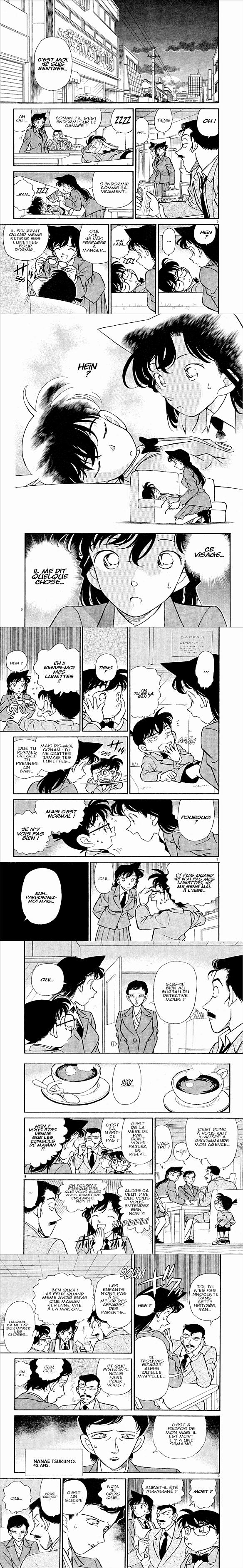 Read Detective Conan FR Manga Online