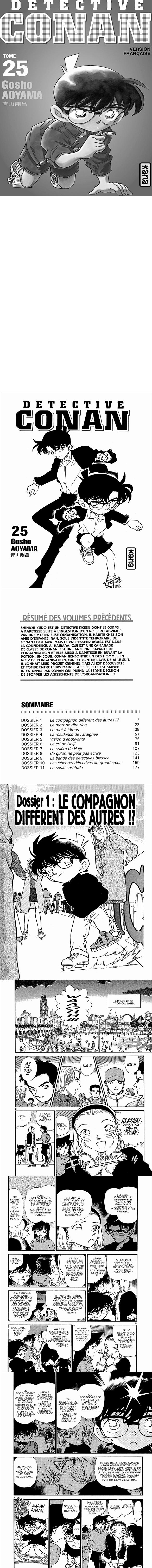 Read Detective Conan FR Manga Online