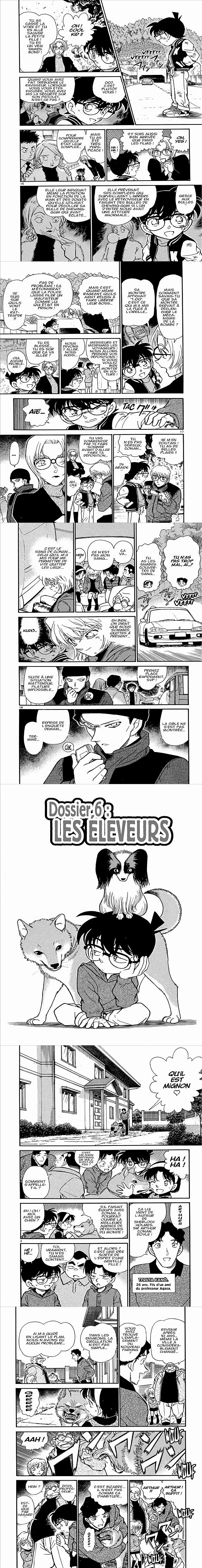 Read Detective Conan FR Manga Online