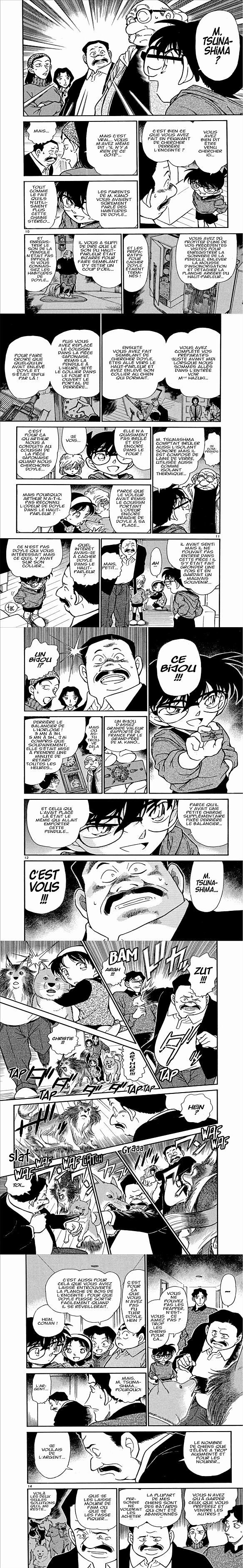 Read Detective Conan FR Manga Online