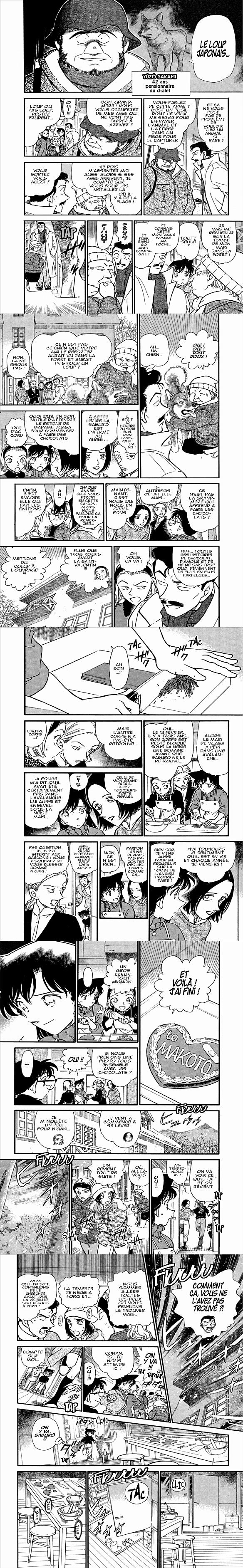 Read Detective Conan FR Manga Online