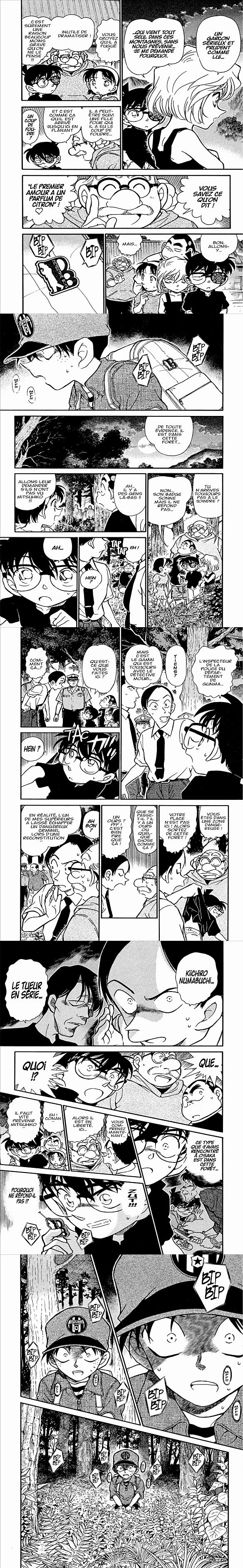 Read Detective Conan FR Manga Online