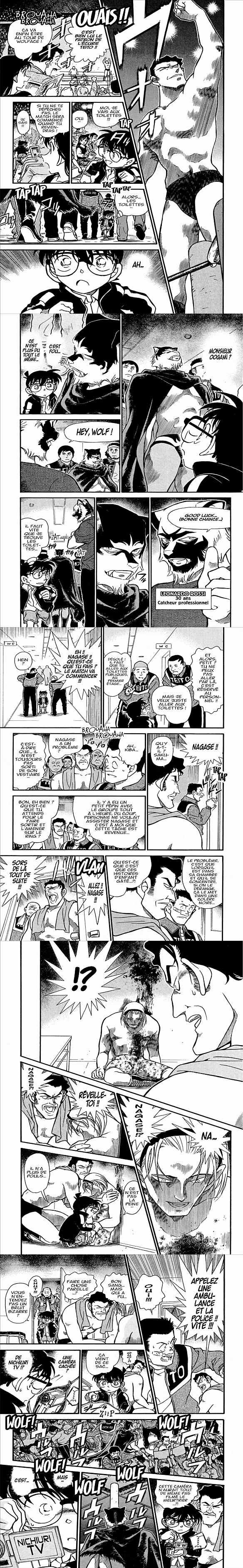 Read Detective Conan FR Manga Online