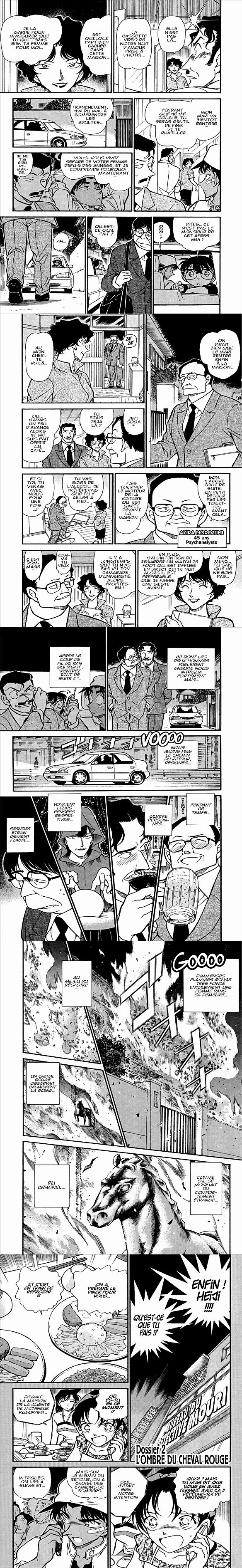 Read Detective Conan FR Manga Online