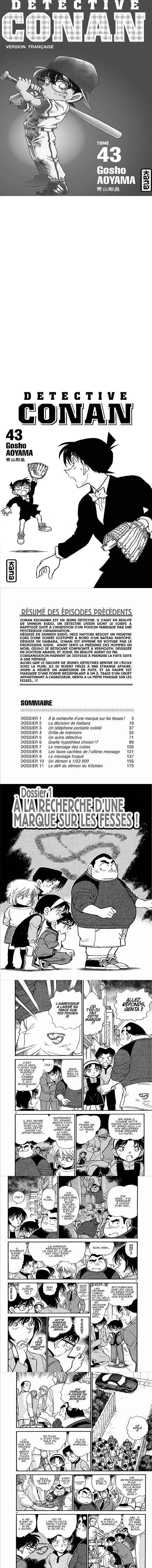 Read Detective Conan FR Manga Online
