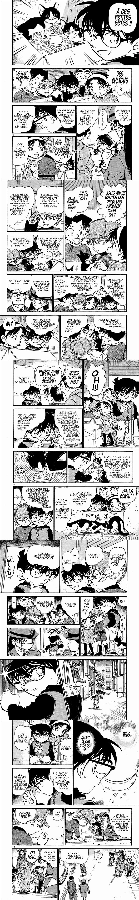 Read Detective Conan FR Manga Online