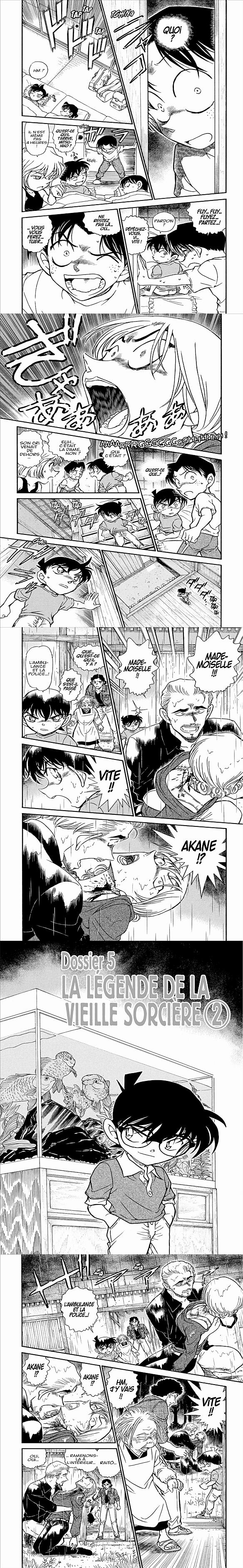 Read Detective Conan FR Manga Online