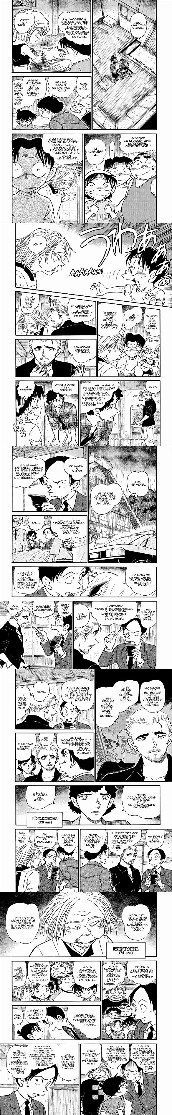 Read Detective Conan FR Manga Online