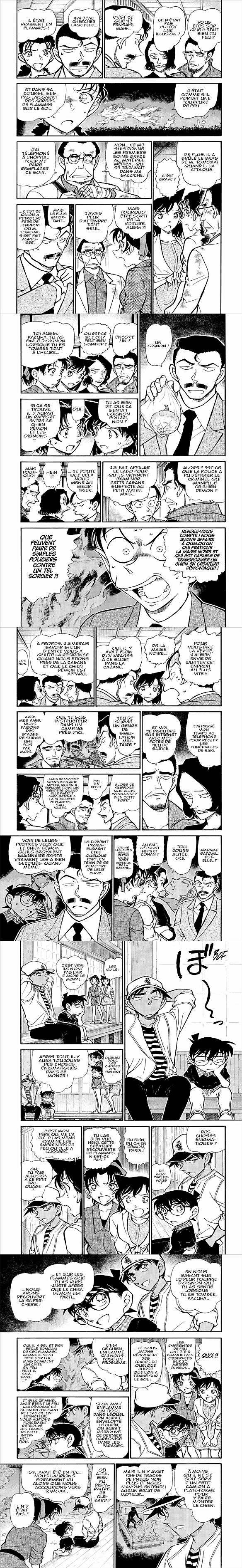 Read Detective Conan FR Manga Online