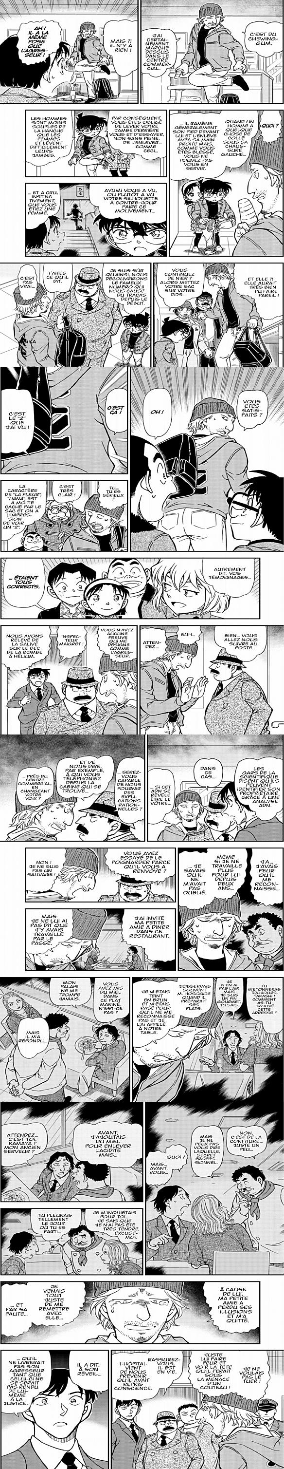 Read Detective Conan FR Manga Online