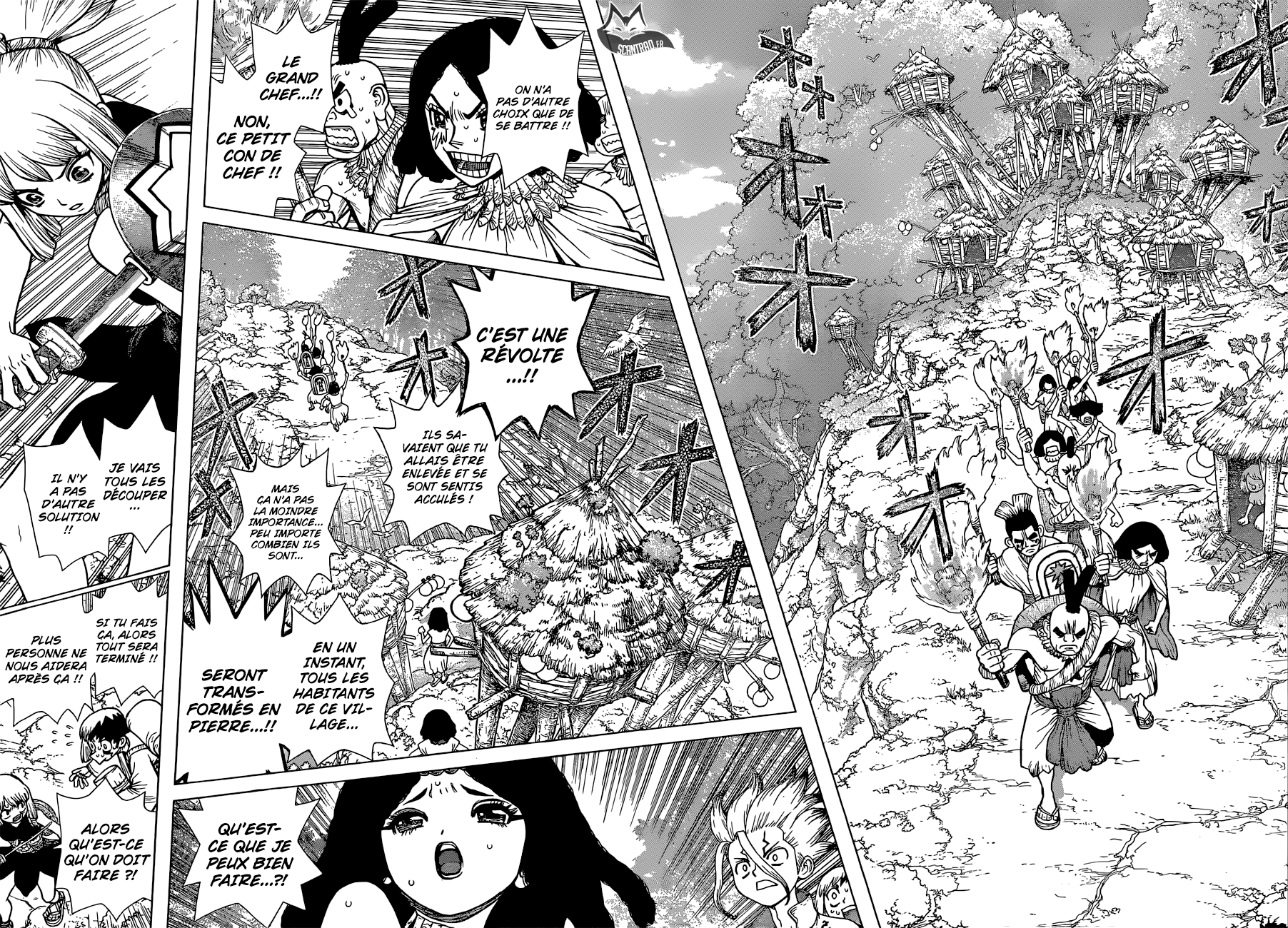 Read Dr. Stone FR Manga Online