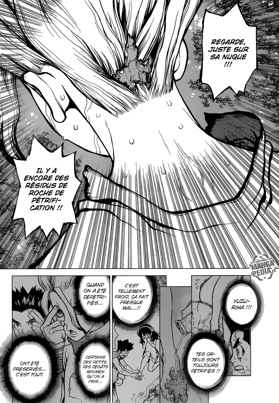 Read Dr. Stone FR Manga Online