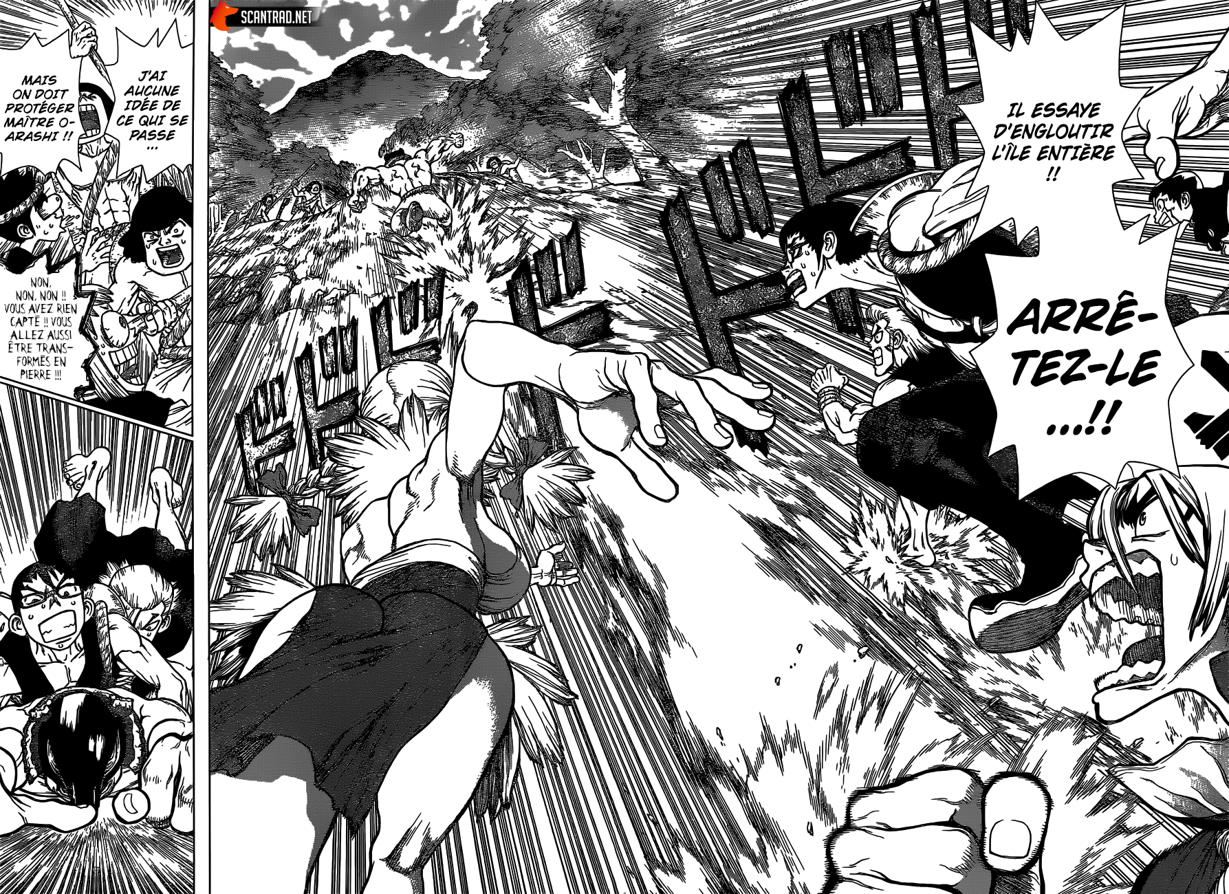 Read Dr. Stone FR Manga Online
