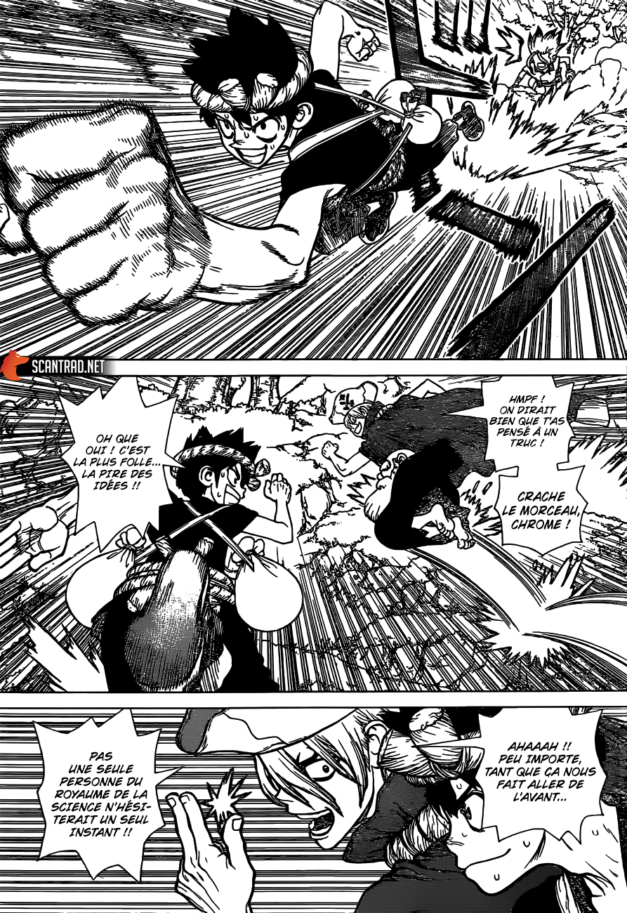 Read Dr. Stone FR Manga Online
