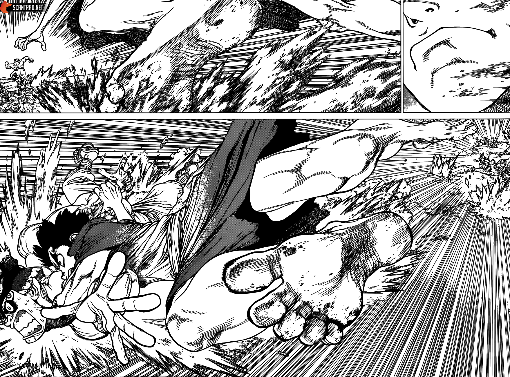 Read Dr. Stone FR Manga Online