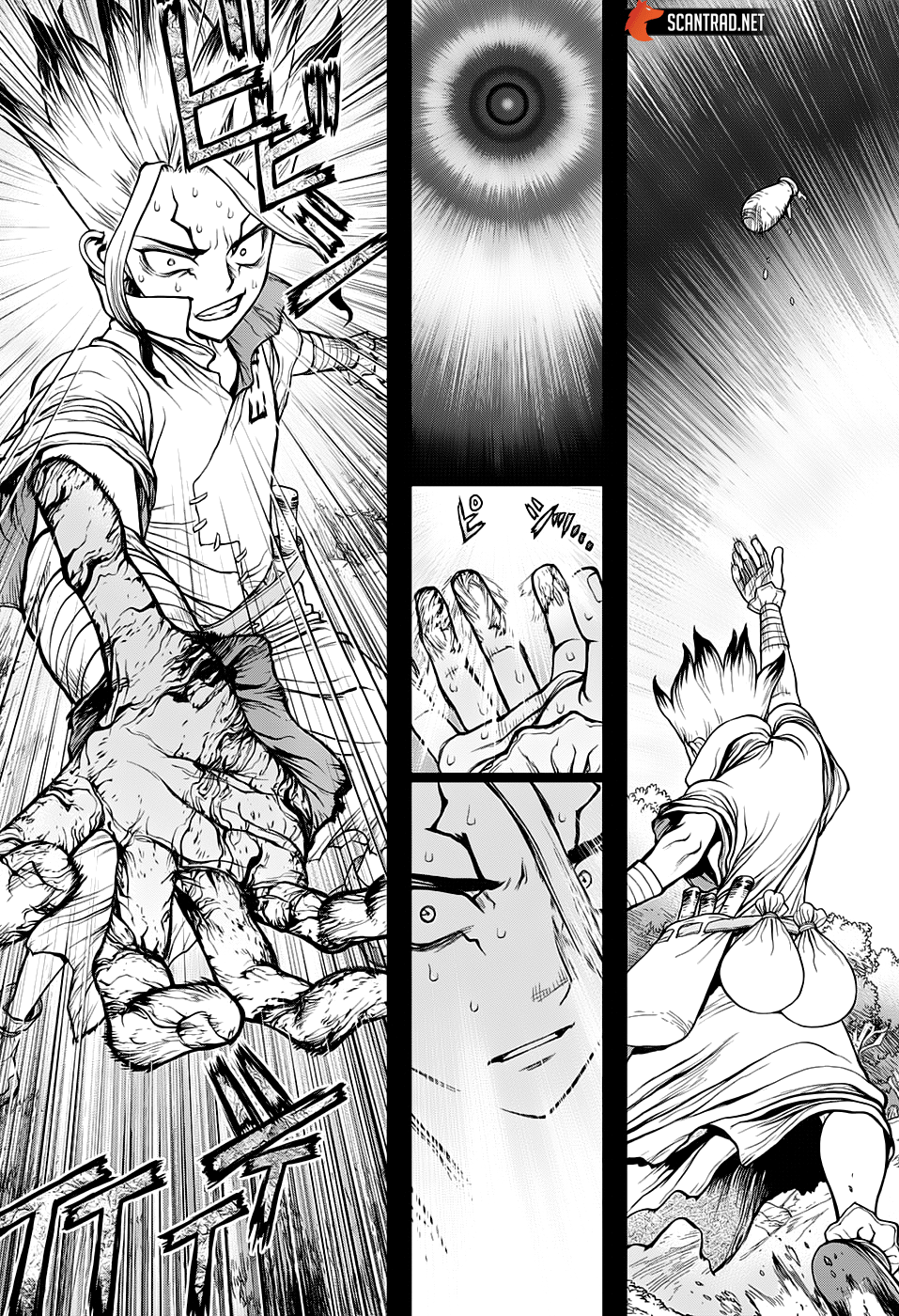 Read Dr. Stone FR Manga Online