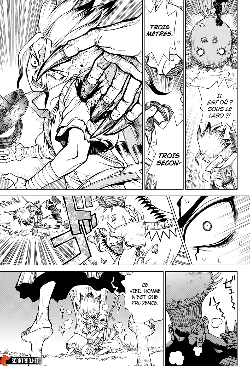 Read Dr. Stone FR Manga Online