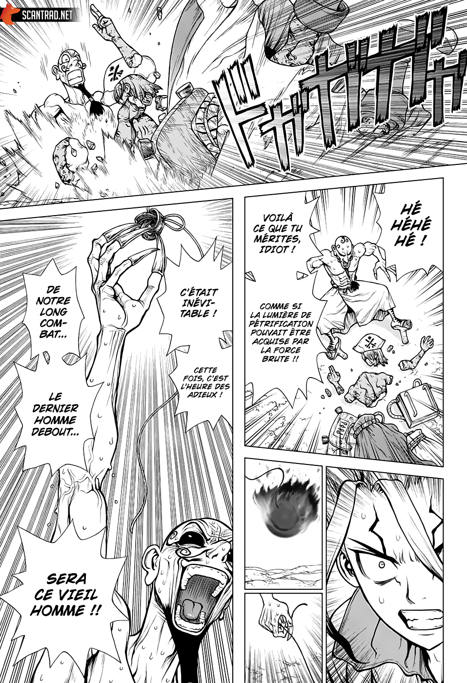 Read Dr. Stone FR Manga Online