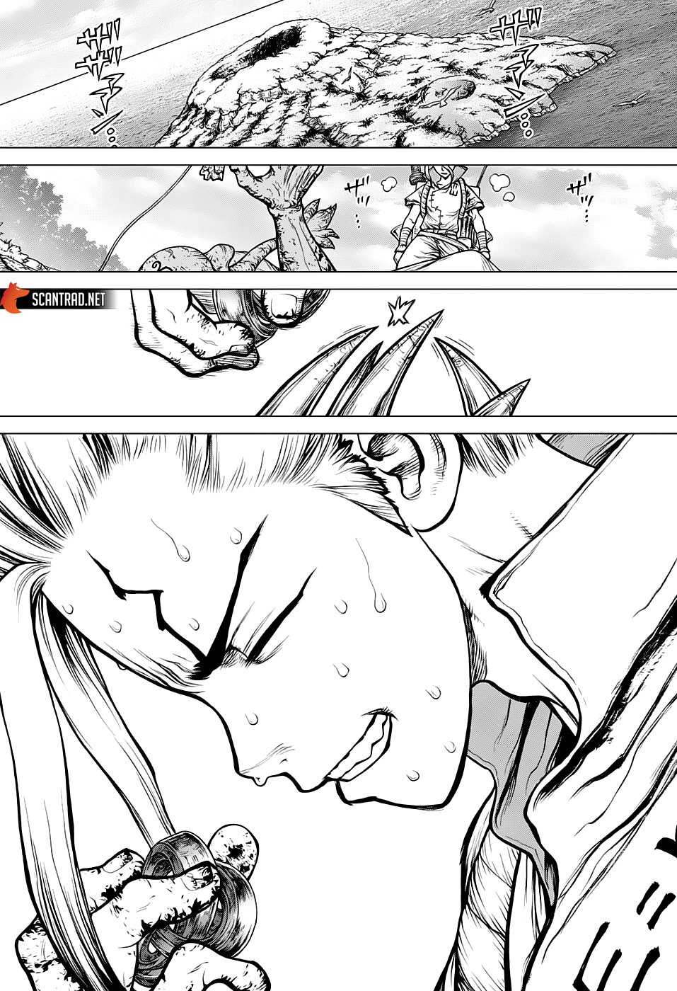 Read Dr. Stone FR Manga Online