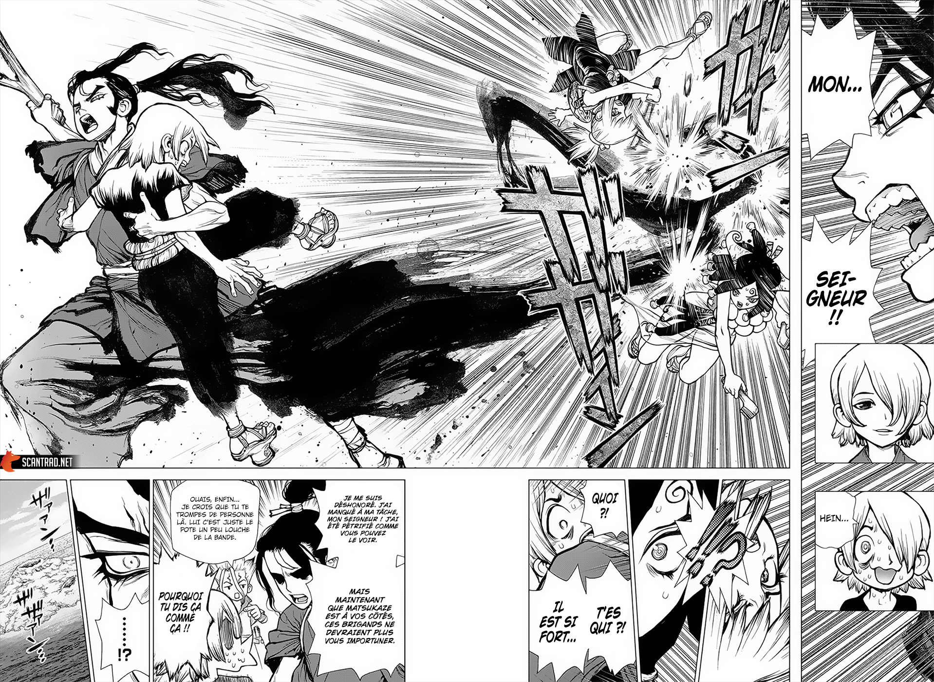 Read Dr. Stone FR Manga Online