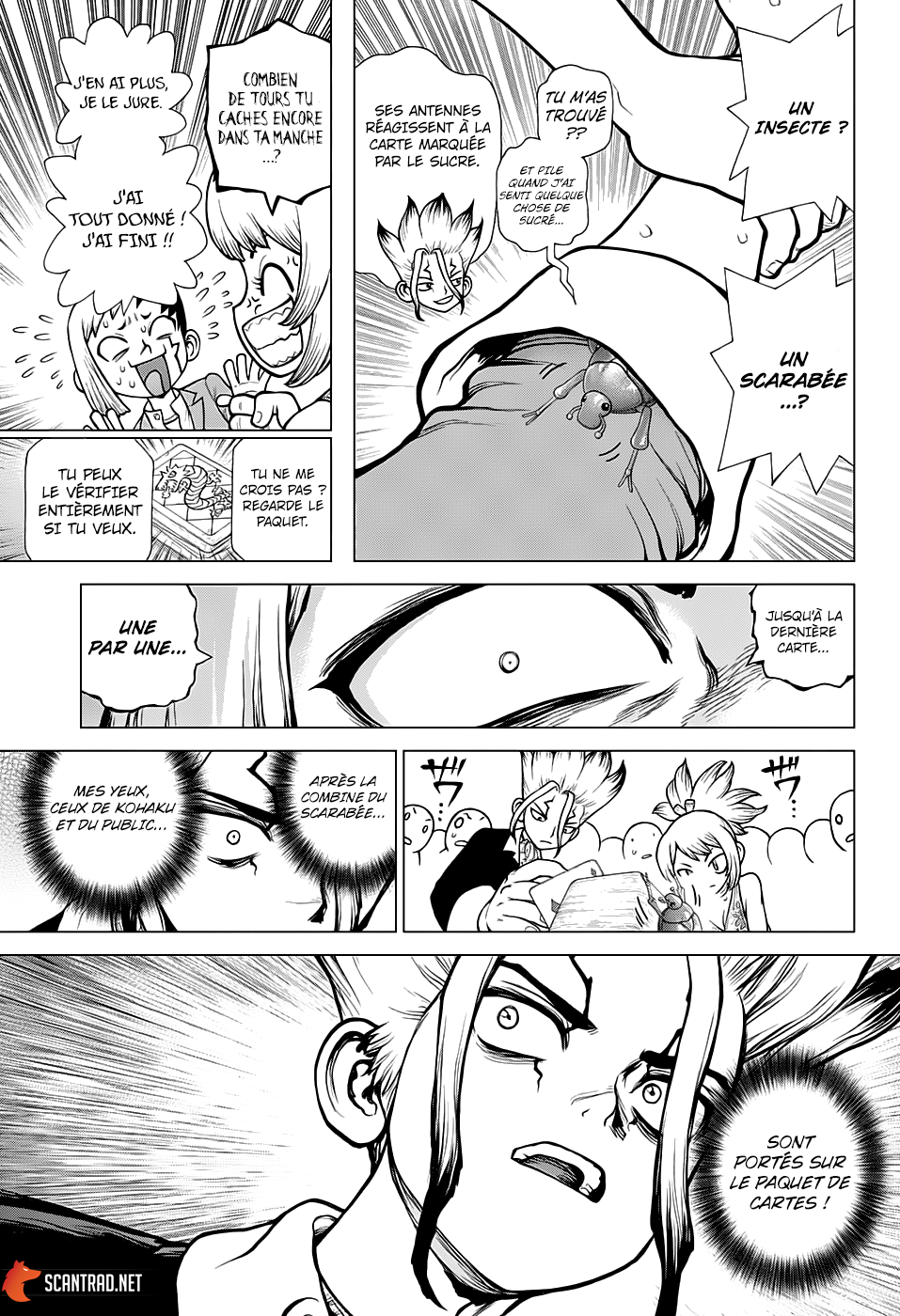 Read Dr. Stone FR Manga Online