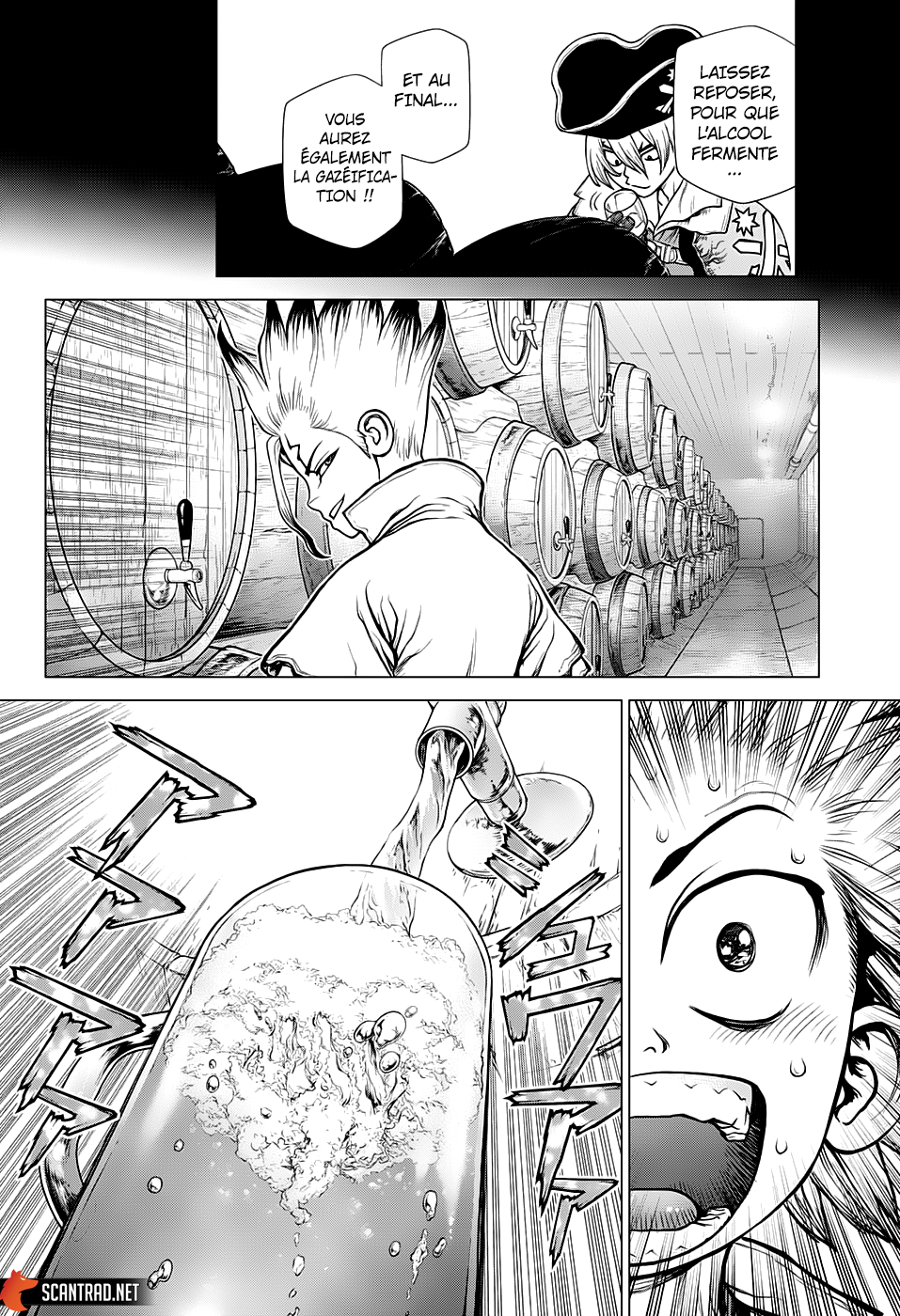 Read Dr. Stone FR Manga Online
