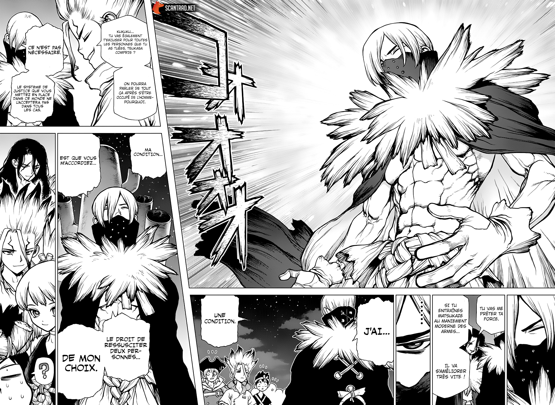 Read Dr. Stone FR Manga Online