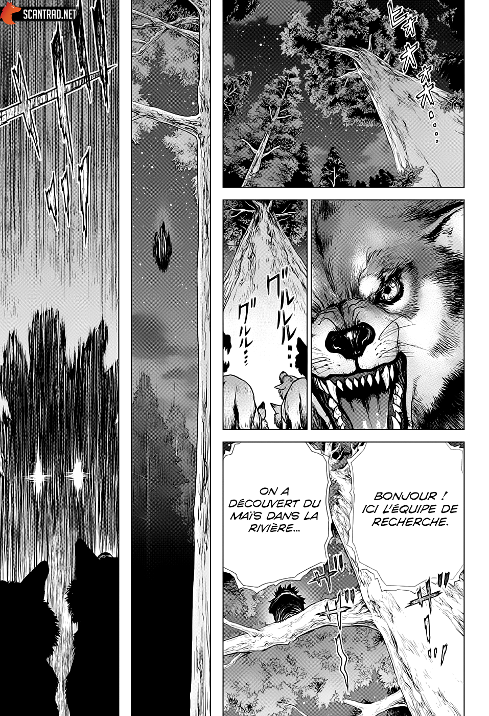 Read Dr. Stone FR Manga Online