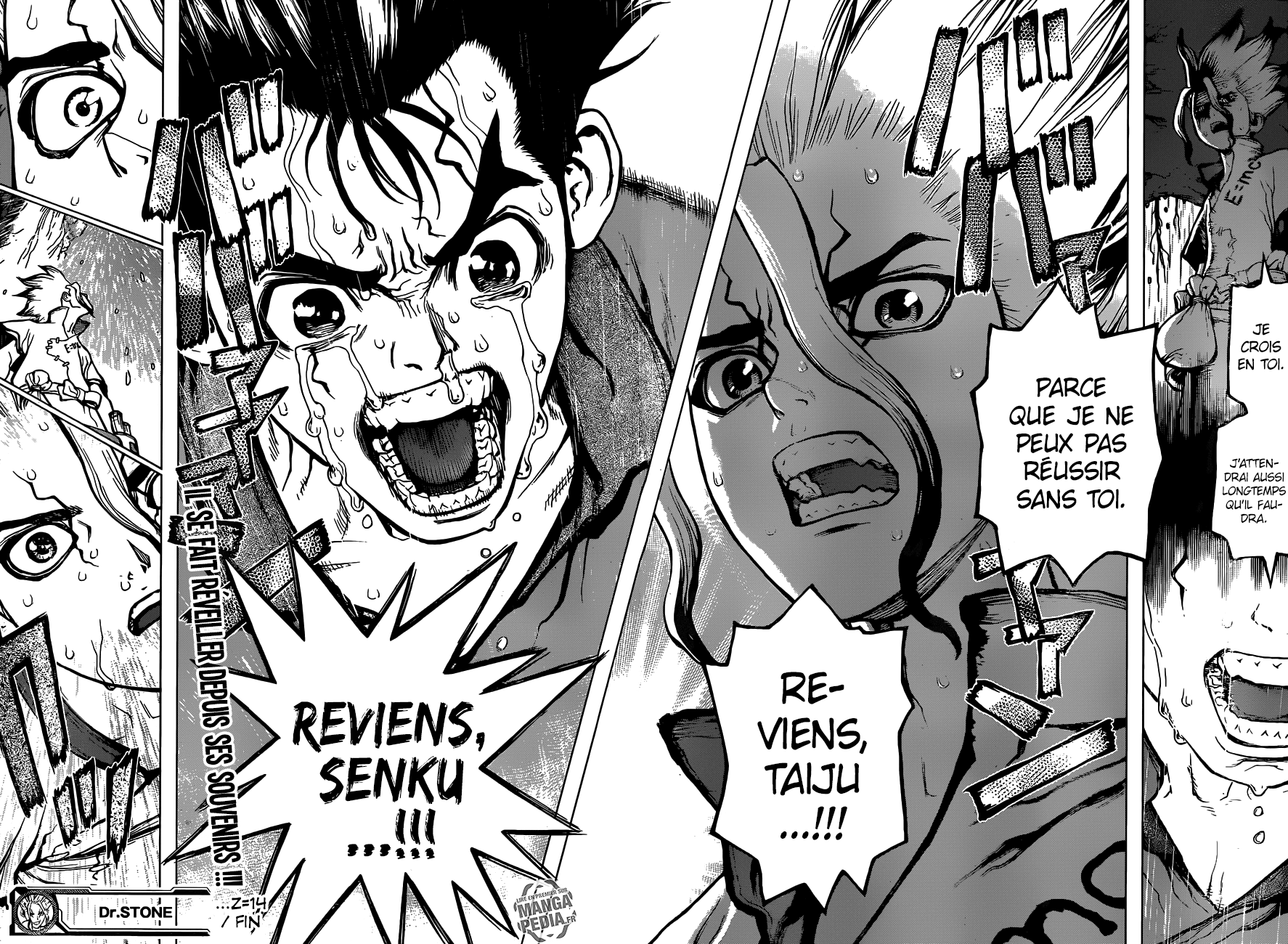 Read Dr. Stone FR Manga Online