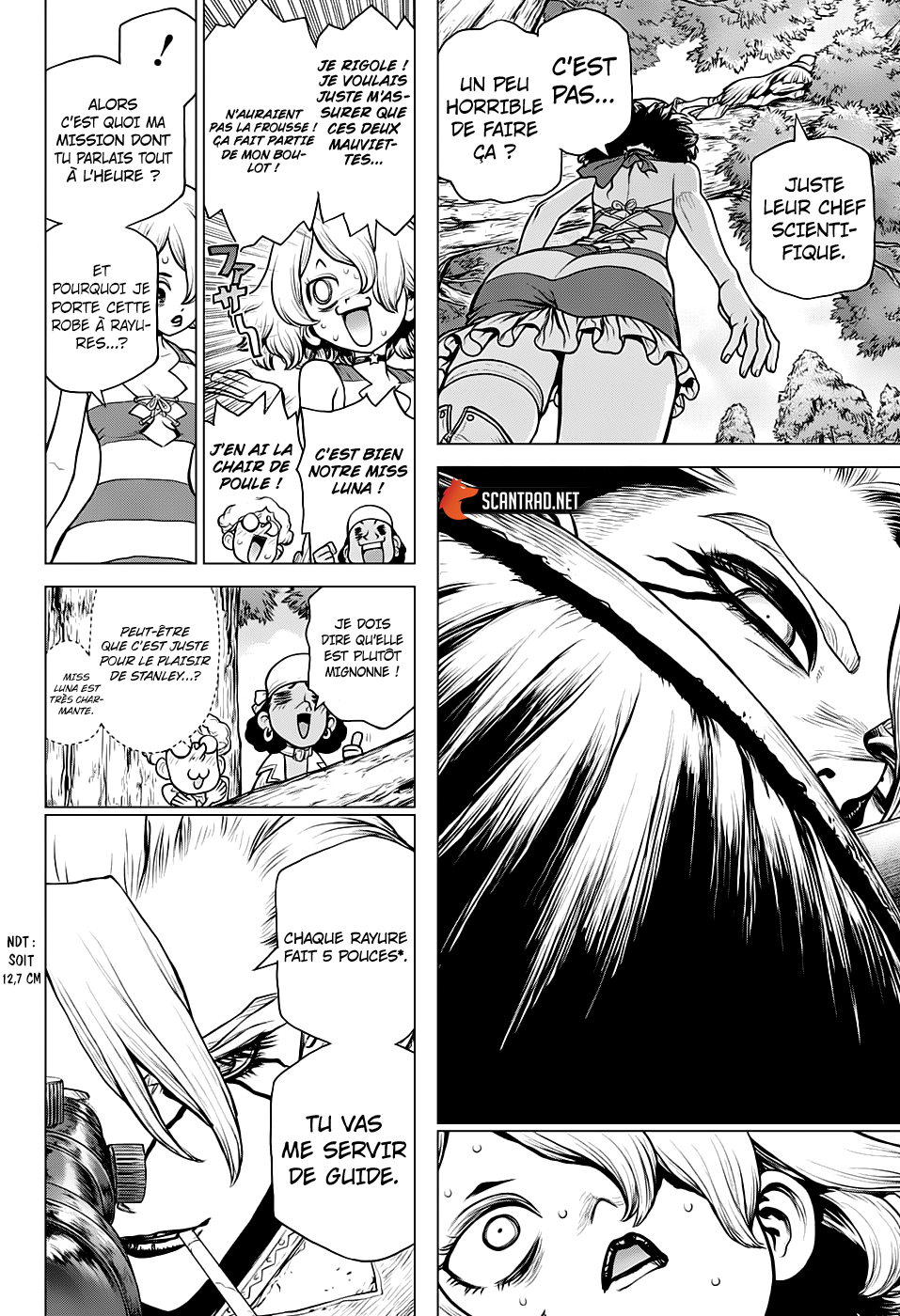 Read Dr. Stone FR Manga Online