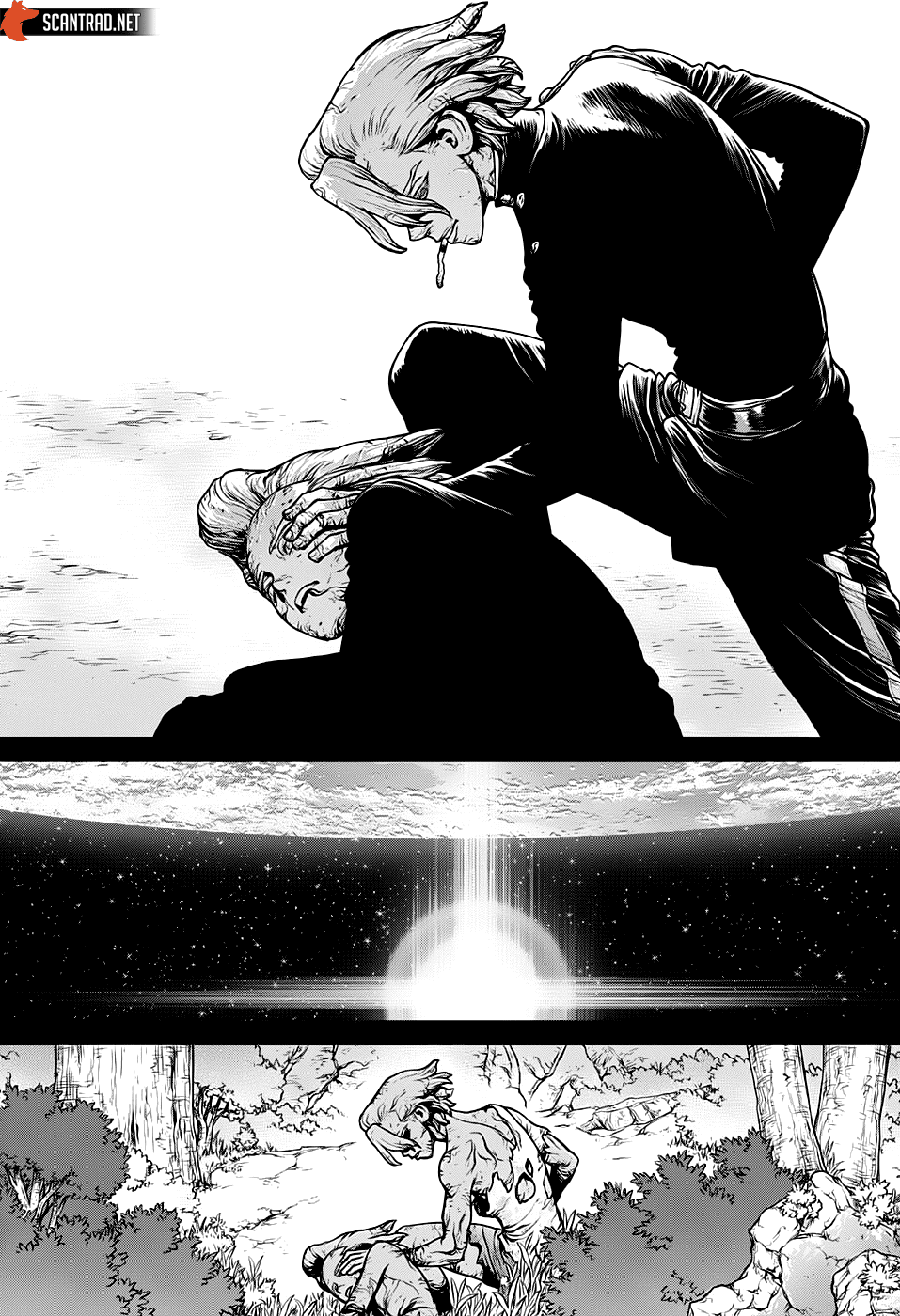 Read Dr. Stone FR Manga Online