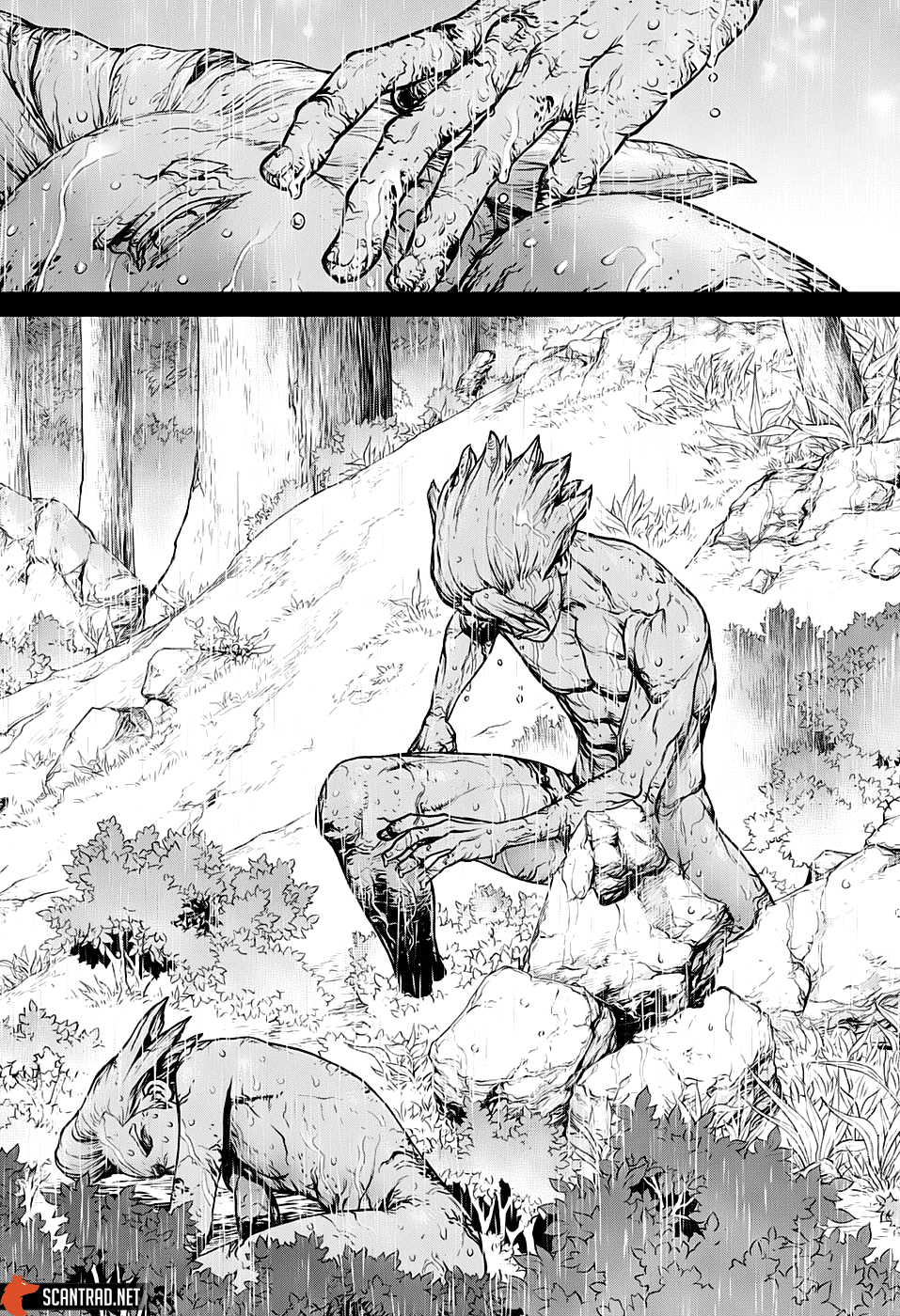 Read Dr. Stone FR Manga Online